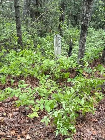 Fr 16 Opossum Path Brevard NC 28712