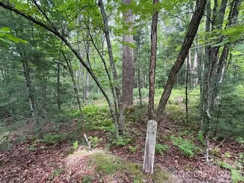 44 A Red Oak Lane Brevard NC 28712