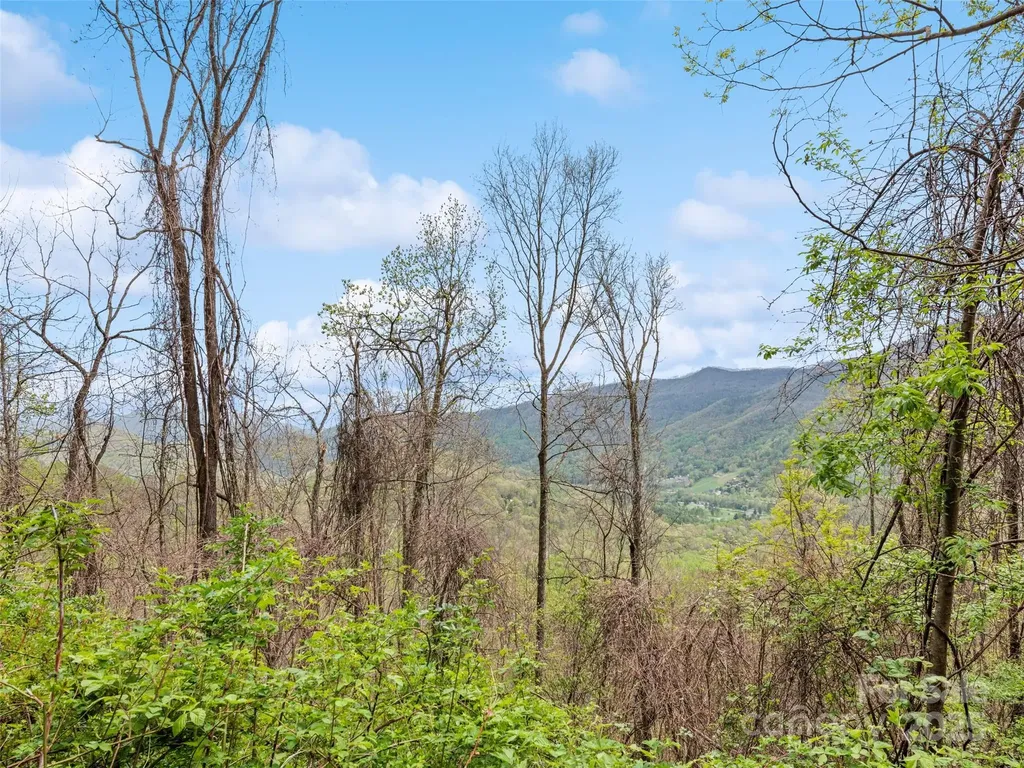 Tbd Laurel Ridge Drive Maggie Valley NC 28786