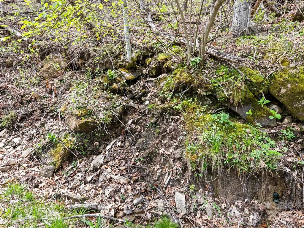 Tbd Laurel Ridge Drive Maggie Valley NC 28786