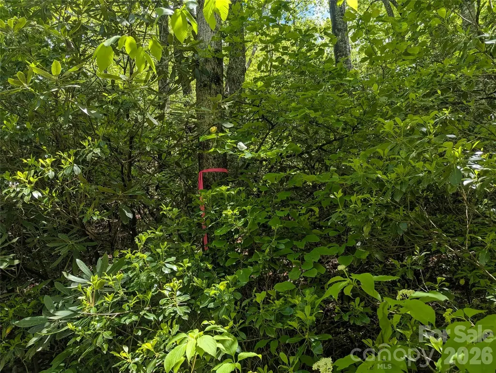 99999 Prospectors Trail Black Mountain NC 28711