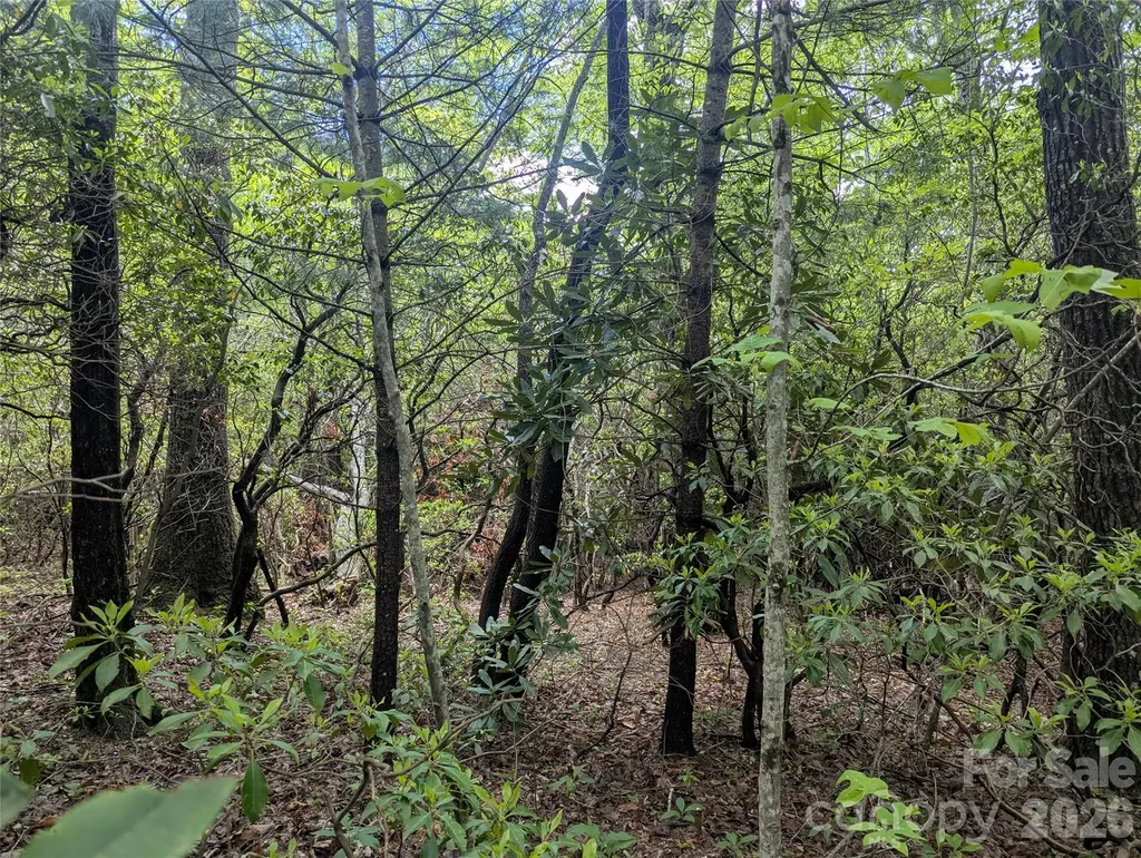 99999 Prospectors Trail Black Mountain NC 28711