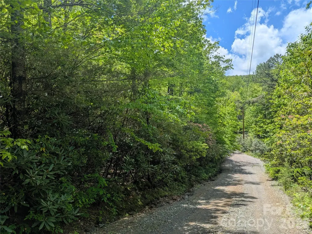 99999 Prospectors Trail Black Mountain NC 28711