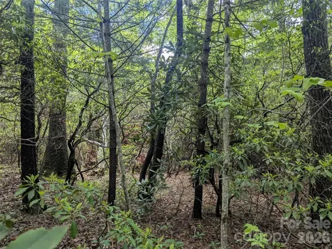 99999 Prospectors Trail Black Mountain NC 28711
