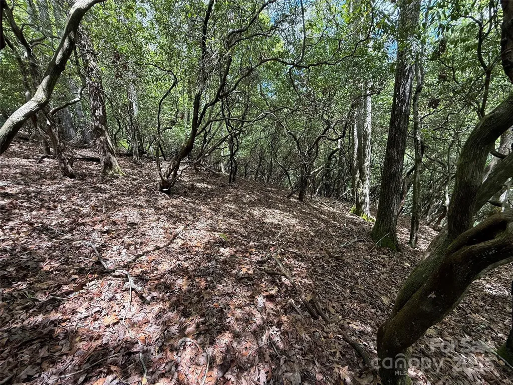Tbd Tellico Trail Brevard NC 28712