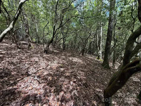 Tbd Tellico Trail Brevard NC 28712