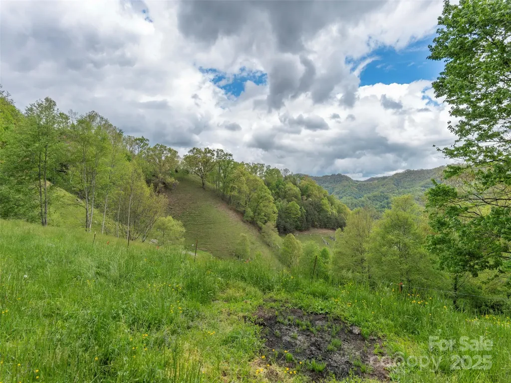 00 Quest Cove Clyde NC 28721