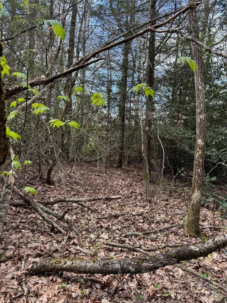 Tbd Black Bear Trail Linville NC 28646