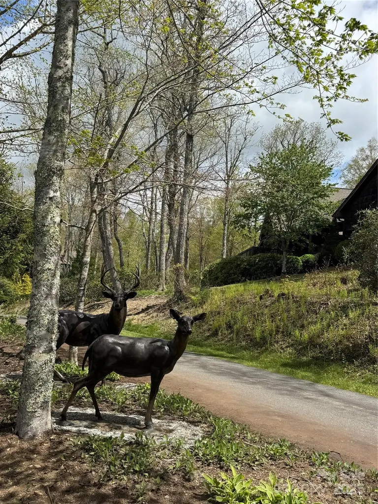 Tbd Black Bear Trail Linville NC 28646