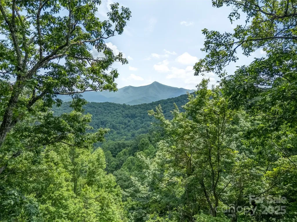 100 White Rock Branch Road Candler NC 28715