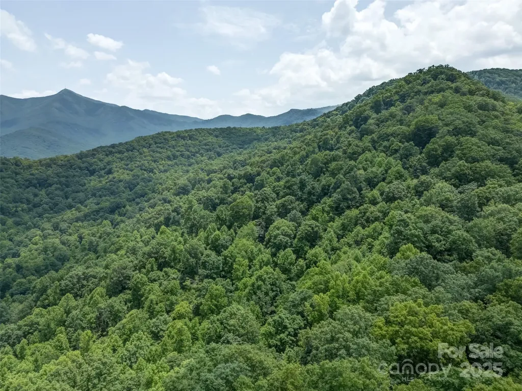 100 White Rock Branch Road Candler NC 28715
