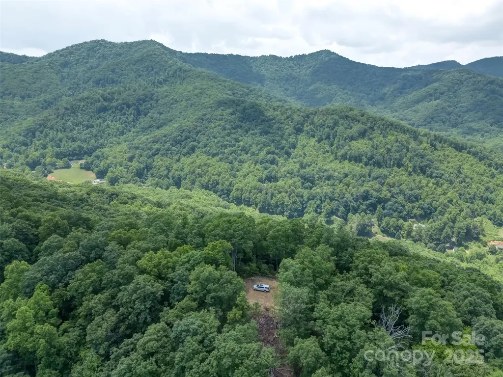 100 White Rock Branch Road Candler NC 28715