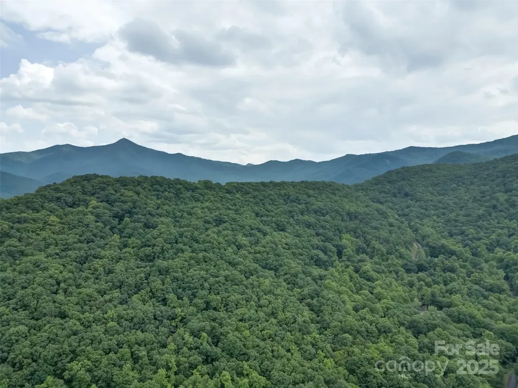 100 White Rock Branch Road Candler NC 28715