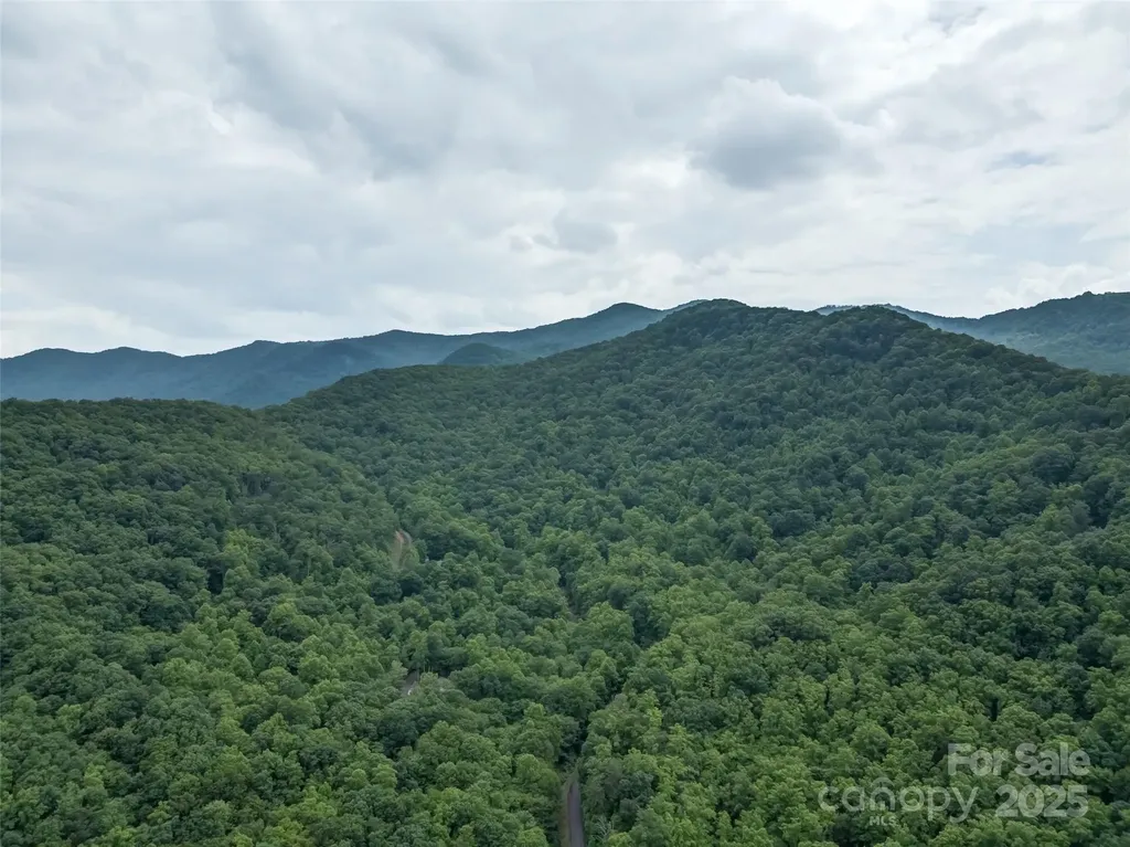 100 White Rock Branch Road Candler NC 28715