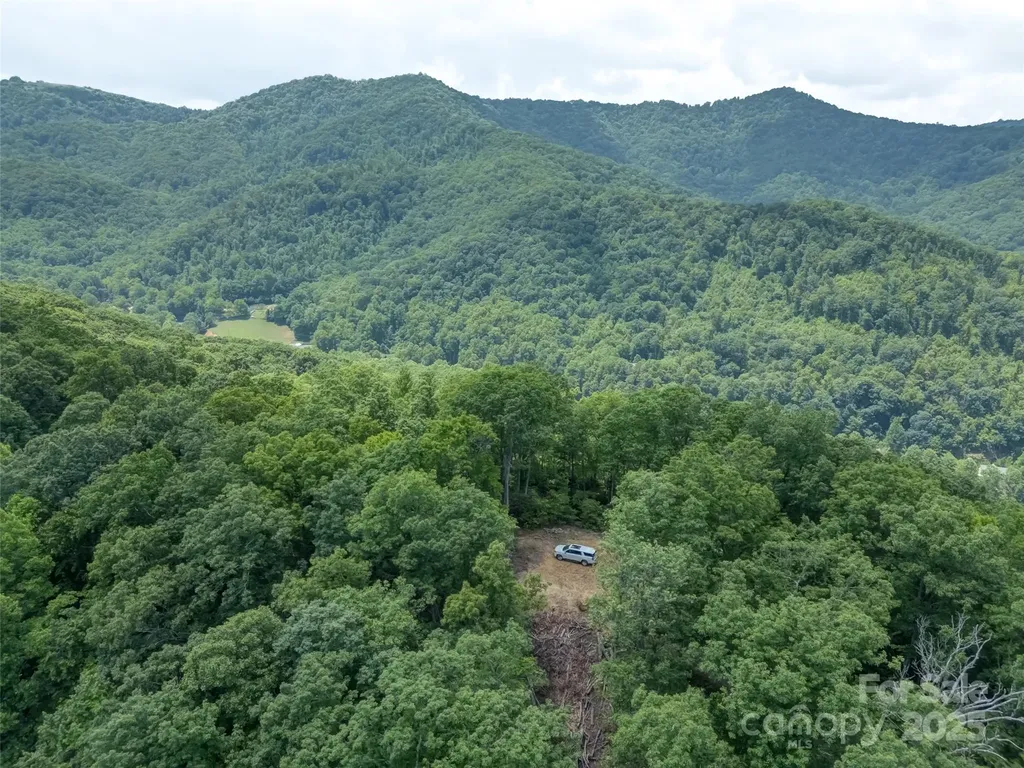 100 White Rock Branch Road Candler NC 28715