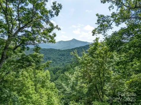 100 White Rock Branch Road Candler NC 28715