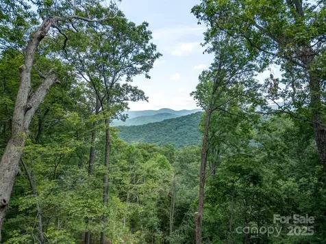 100 White Rock Branch Road Candler NC 28715