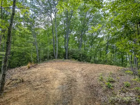 100 White Rock Branch Road Candler NC 28715