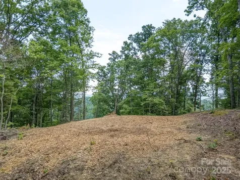 100 White Rock Branch Road Candler NC 28715