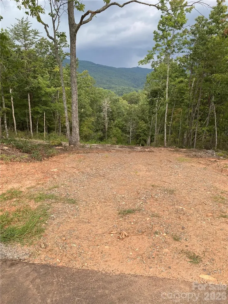 2 Jackson Ridge Lane Mill Spring NC 28756