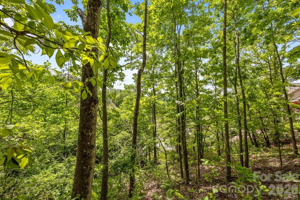 46 Hawtree Court Weaverville NC 28787