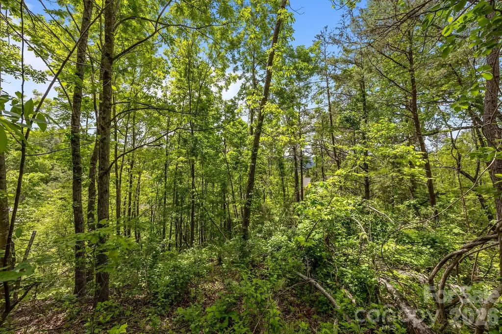 46 Hawtree Court Weaverville NC 28787