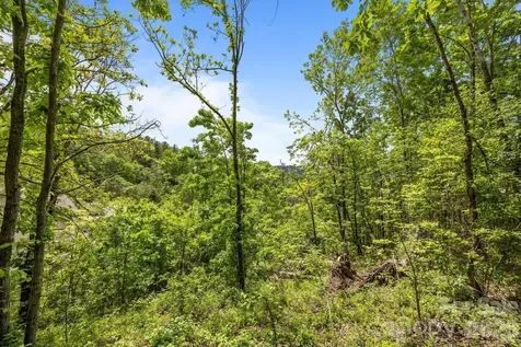 46 Hawtree Court Weaverville NC 28787