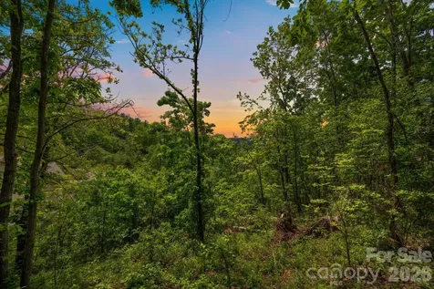 46 Hawtree Court Weaverville NC 28787