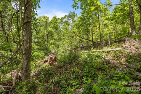 46 Hawtree Court Weaverville NC 28787