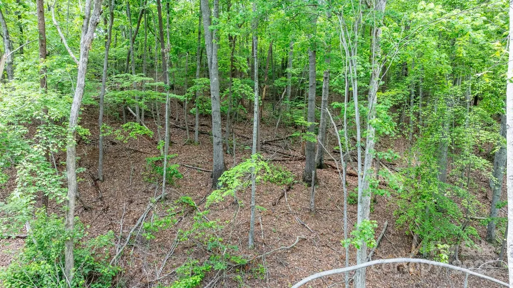 Tbd Darrow Drive Nebo NC 28761