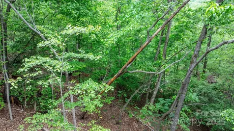 Tbd Darrow Drive Nebo NC 28761