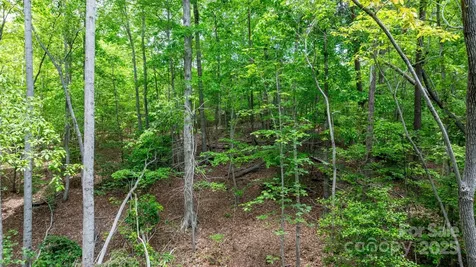 Tbd Darrow Drive Nebo NC 28761