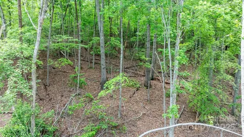Tbd Darrow Drive Nebo NC 28761