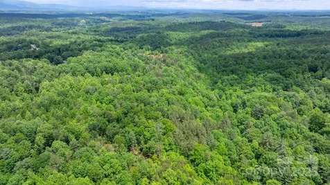 Tbd Darrow Drive Nebo NC 28761