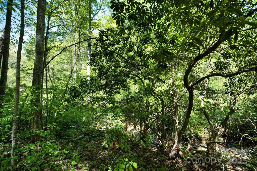 99999 Anderson Cove Road Barnardsville NC 28709