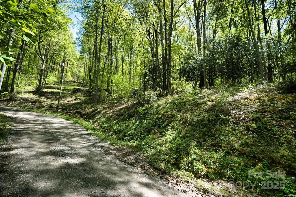 99999 Anderson Cove Road Barnardsville NC 28709