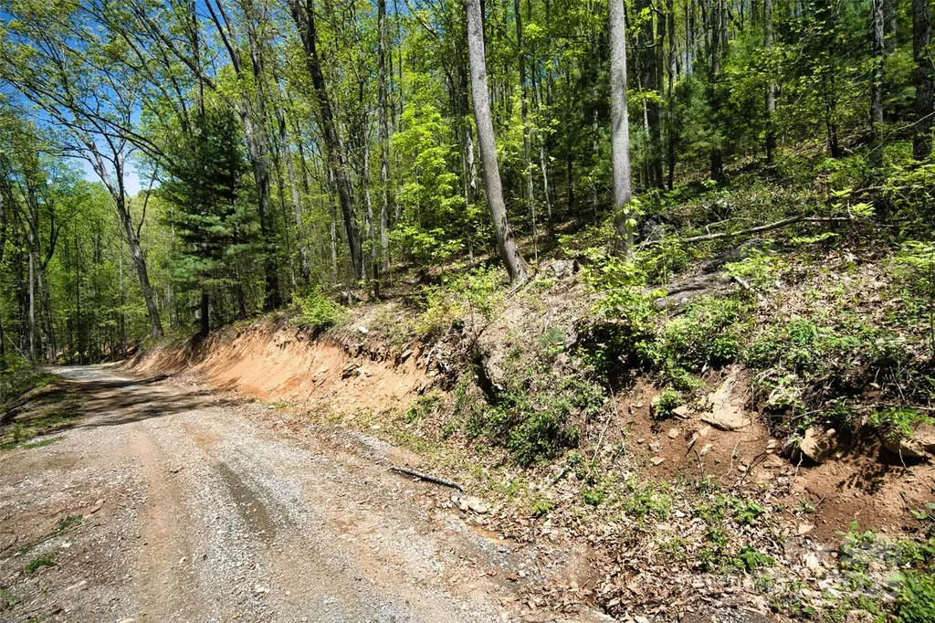 99999 Anderson Cove Road Barnardsville NC 28709