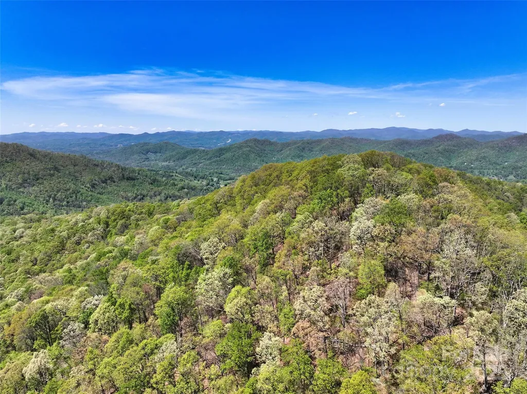 99999 Anderson Cove Road Barnardsville NC 28709