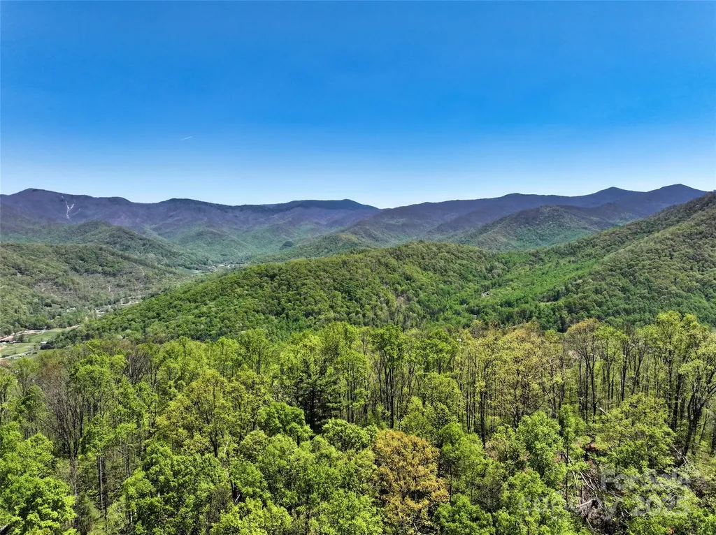 99999 Anderson Cove Road Barnardsville NC 28709