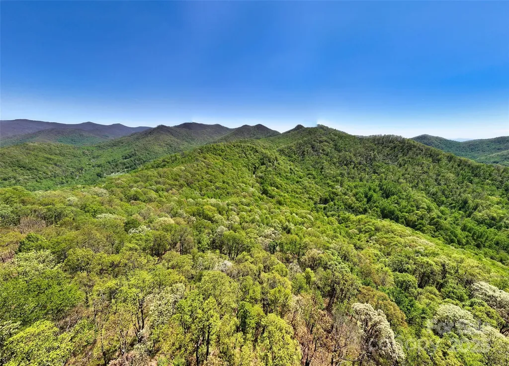 99999 Anderson Cove Road Barnardsville NC 28709