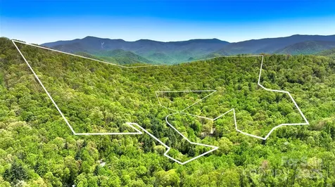 99999 Anderson Cove Road Barnardsville NC 28709