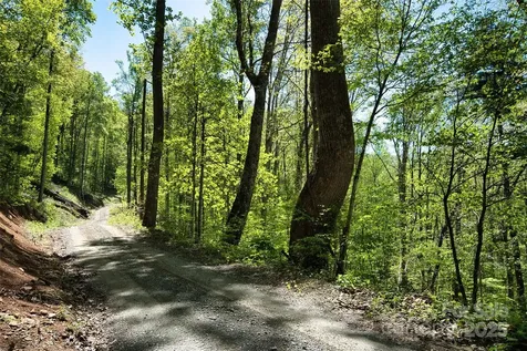 99999 Anderson Cove Road Barnardsville NC 28709