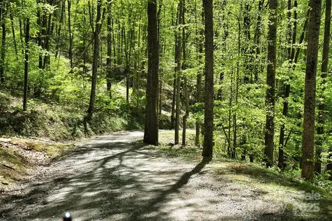 99999 Anderson Cove Road Barnardsville NC 28709