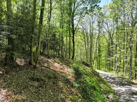 99999 Anderson Cove Road Barnardsville NC 28709