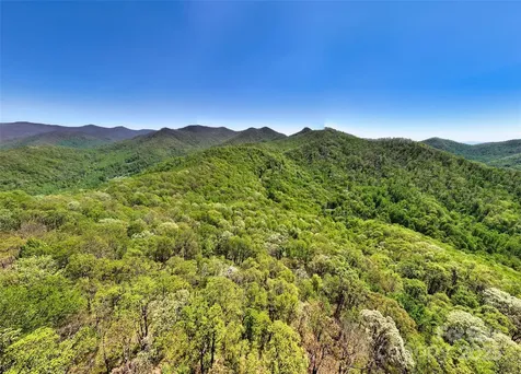99999 Anderson Cove Road Barnardsville NC 28709