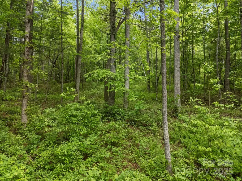 000 Red Fox Lane Flat Rock NC 28731