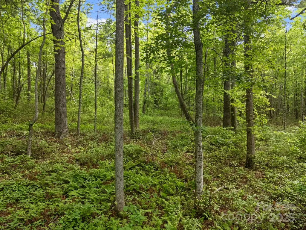 000 Red Fox Lane Flat Rock NC 28731