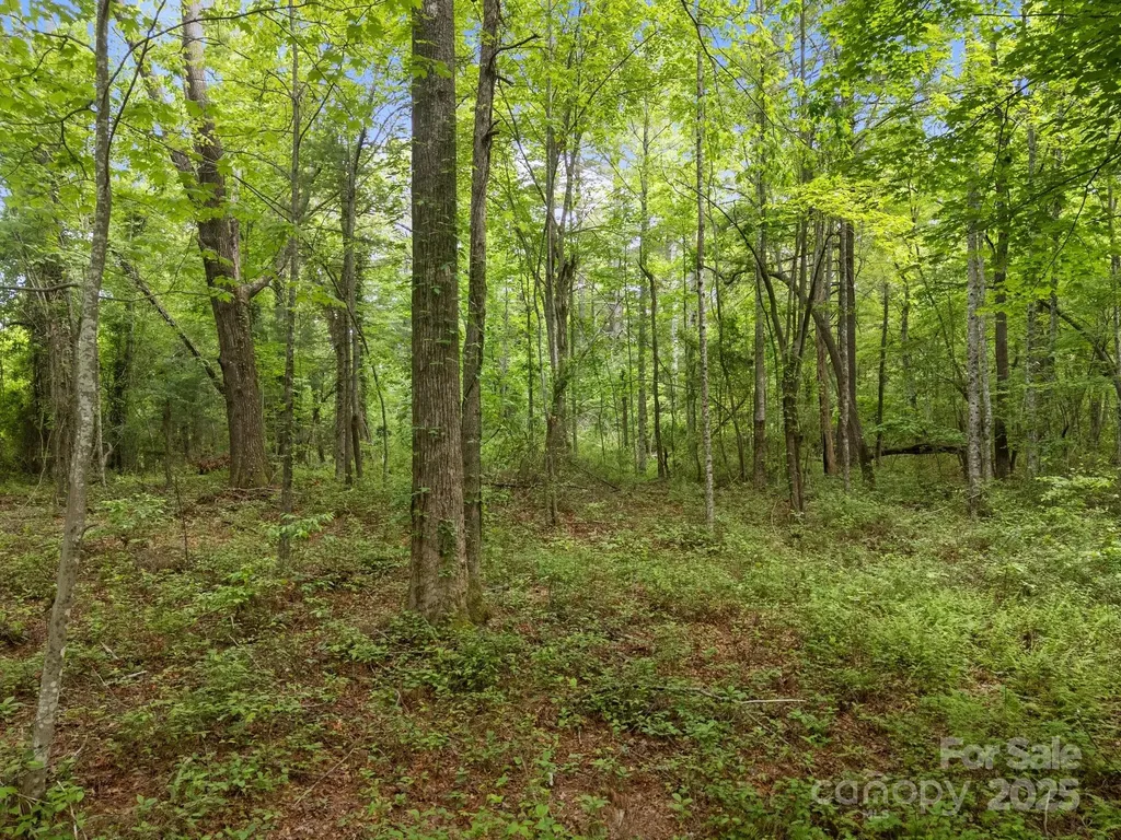 000 Red Fox Lane Flat Rock NC 28731