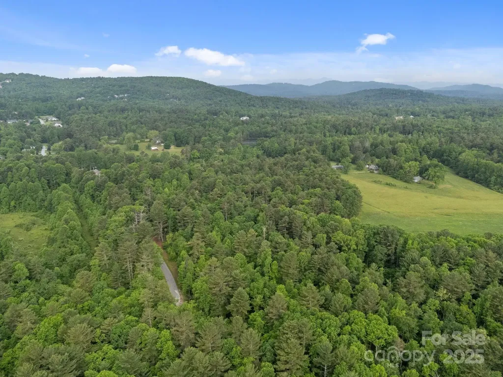 000 Red Fox Lane Flat Rock NC 28731