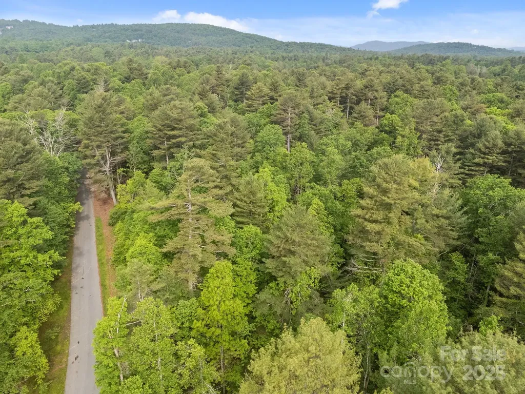 000 Red Fox Lane Flat Rock NC 28731